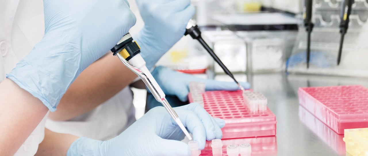 Polymerase Chain Reaction (PCR)